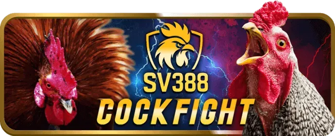 Cơ sở kiến thức pk8 win